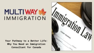 Need an Immigration Consultant in Canada