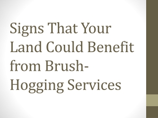 Signs That Your Land Could Benefit from Brush-Hogging