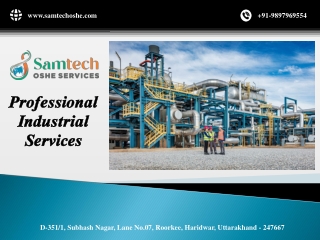 Professional Industrial Services PDF