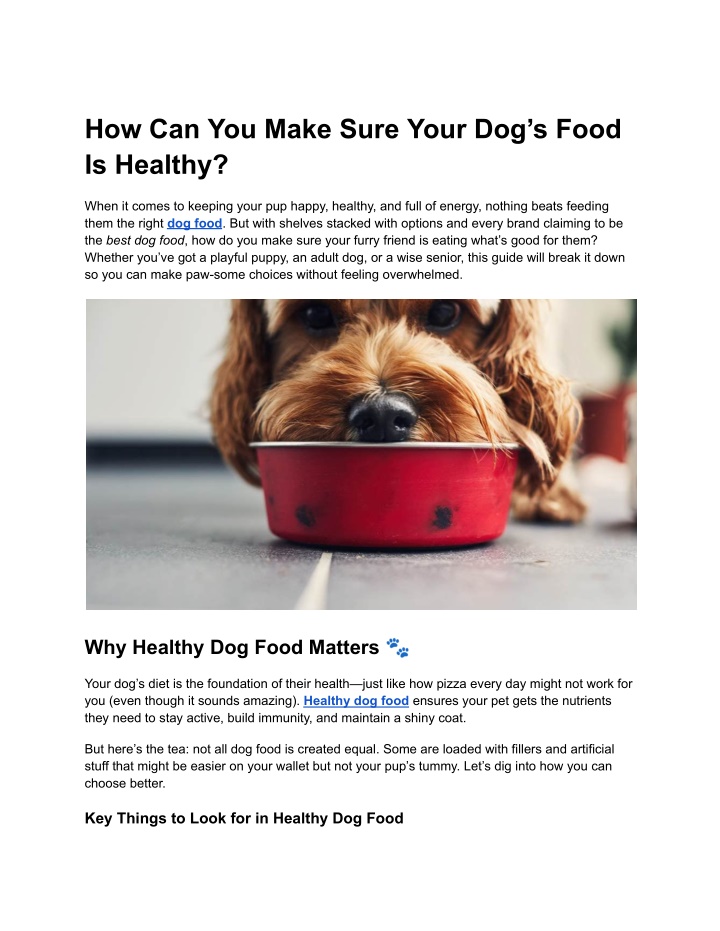 how can you make sure your dog s food is healthy