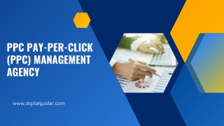 ppc pay per click ppc management agency