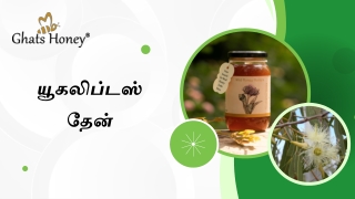 யூகலிப்டஸ்தேன் –ஆரோக்கிய நன்மைகளின் பொக்கிஷம்