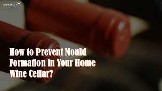 How to Prevent Mould Formation in Your Home Wine Cellar?