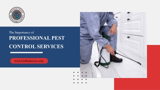 The Value of Professional Pest Control Services in Montgomery, TX