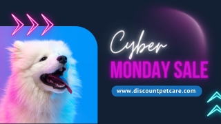 Cyber Monday Deals: 35% Off Petcare   Free Shipping
