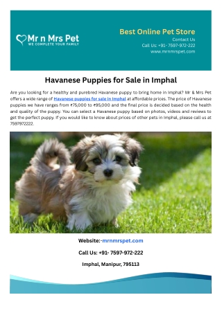 best online pet store