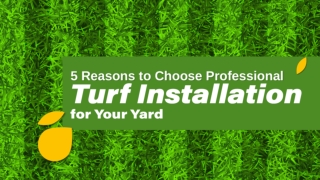 5 Reasons to Choose Professional Turf Installation for Your Yard