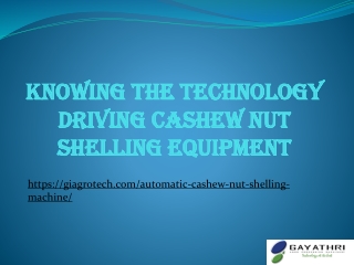 Knowing the Technology Driving Cashew Nut Shelling Equipment