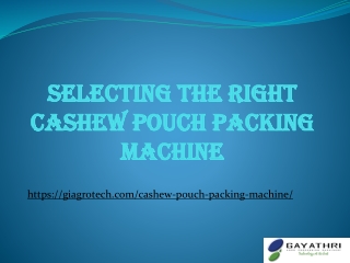 Selecting the right Cashew Pouch Packing Machine