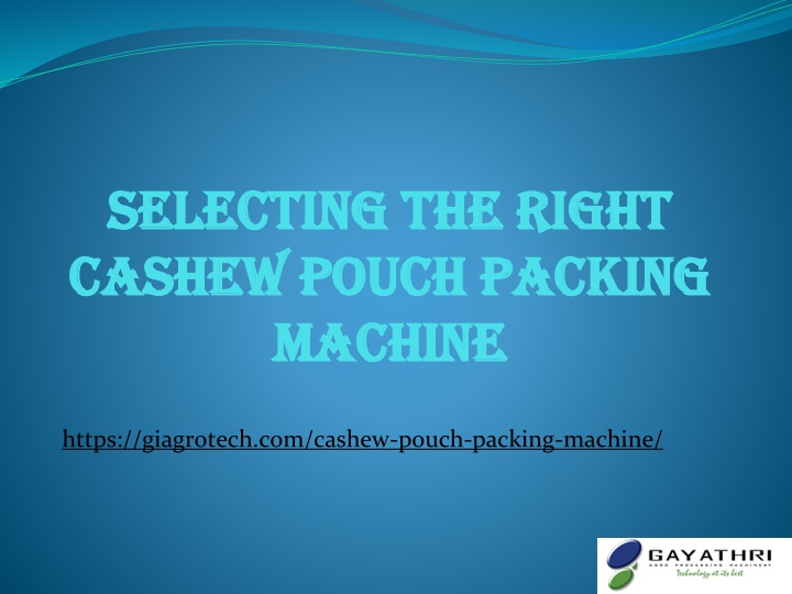 selecting the right cashew pouch packing machine