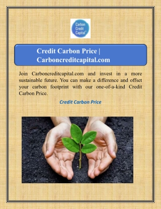 Credit Carbon Price | Carboncreditcapital.com