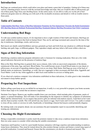 Bed Bug Removal 101: Steps to Eradicate These Persistent Pests