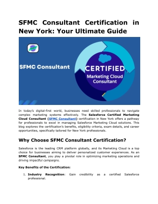 sfmc consultant certification in new york your