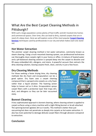 What Are the Best Carpet Cleaning Methods in Pittsburgh?