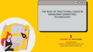 Role Of Fractional CMO In Managing Marketing Technology