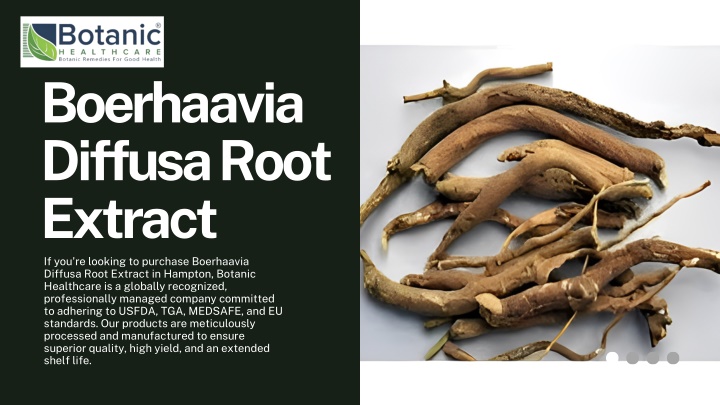 boerhaavia diffusa root extract if you re looking