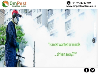 We are the Best Pest Control Company‎