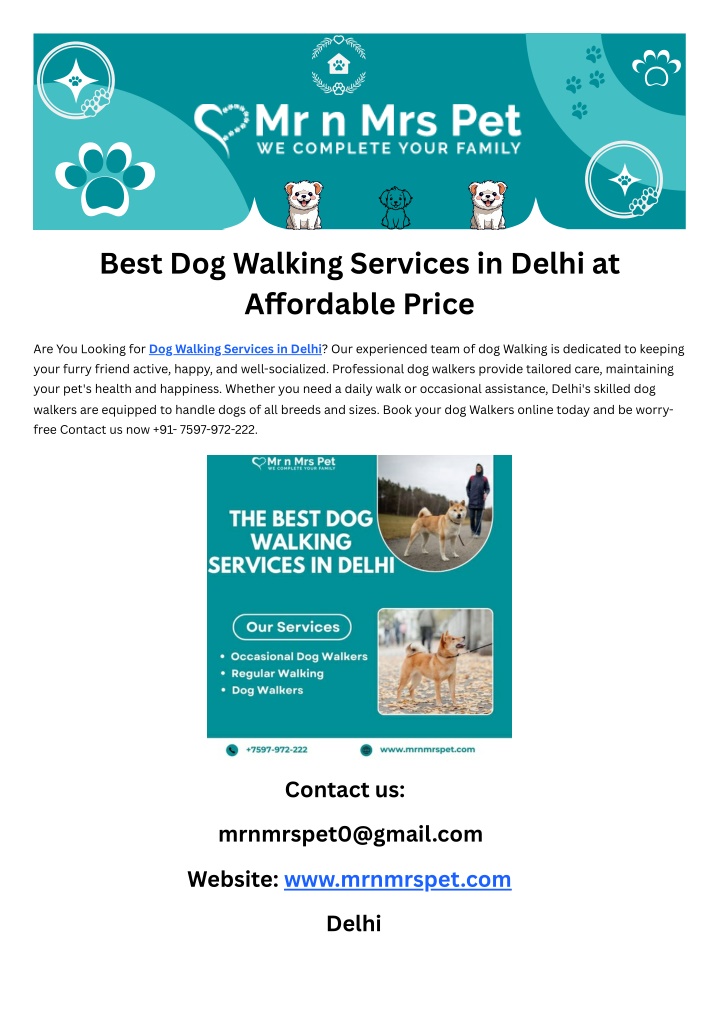 best dog walking services in delhi at a ordable