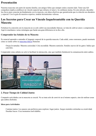 Claves para Fortalecer tu Relación con tu Amada Mascota