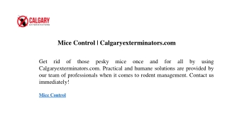 mice control calgaryexterminators com