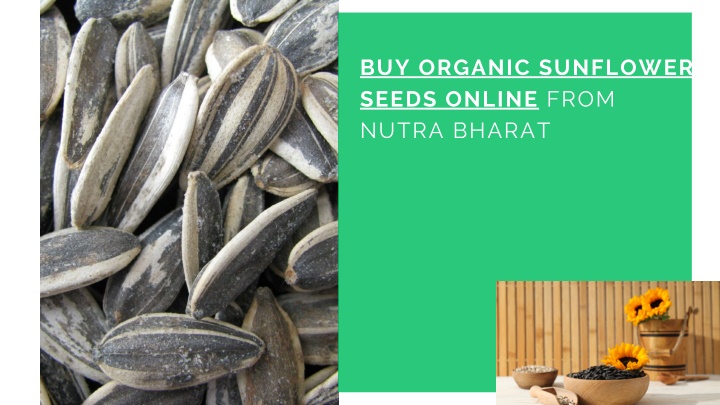 buy organic sunflower seeds online from nutra