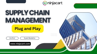 Supply Chain Management – Plug and Play
