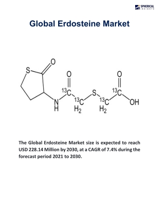 Erdosteine Market Outlook 2030: Global Size, Share, and Trend Analysis