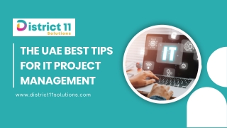 The UAE Best Tips for IT Project Management - District 11 Solutions