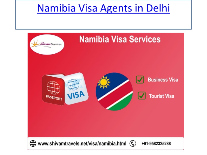 namibia visa agents in delhi