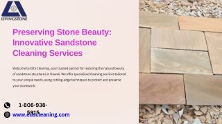 Revitalizing Your Surfaces: The Art of Sandstone Cleaning Services