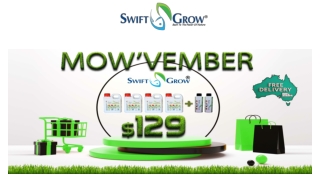 Eco-Friendly Fertilizer for Lush Gardens – Swift Grow Organic