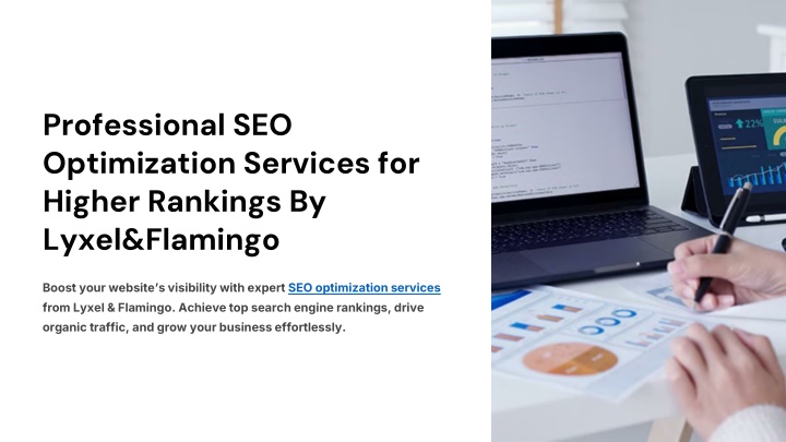 professional seo optimization services for higher