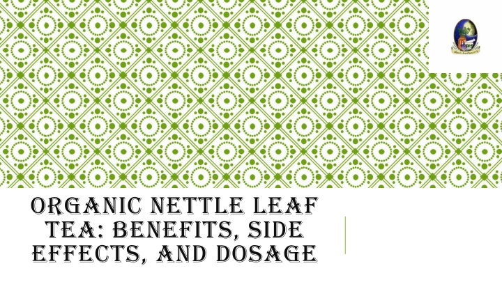 organic nettle leaf tea benefits side effects