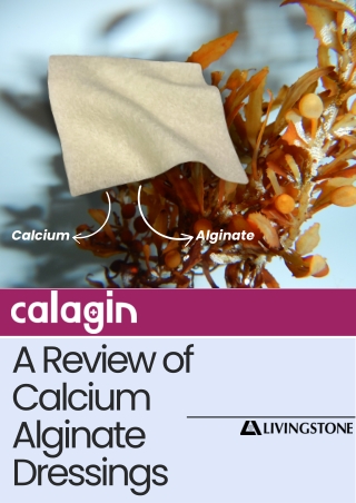 A Review of Calcium Alginate Dressings