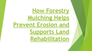 How Forestry Mulching Helps Prevent Erosion and Supports Land Rehabilitation