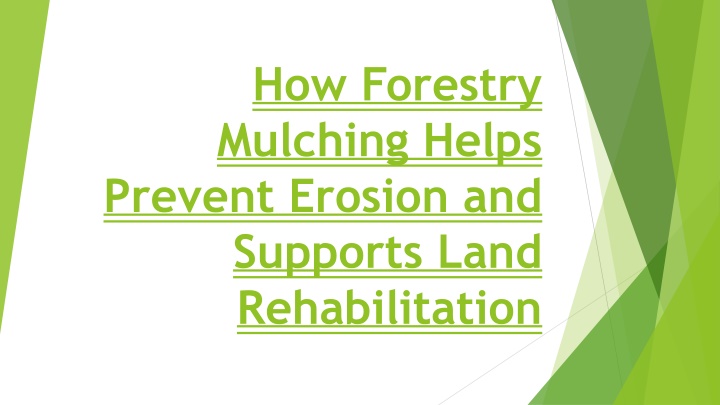 how forestry mulching helps prevent erosion and supports land rehabilitation