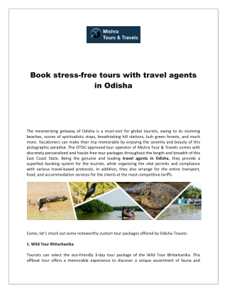 Book stress-free tours with travel agents in Odisha