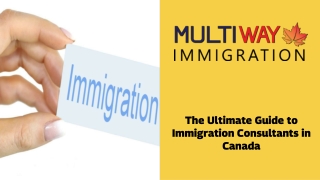 Expert Advice for a Smooth Immigration Process