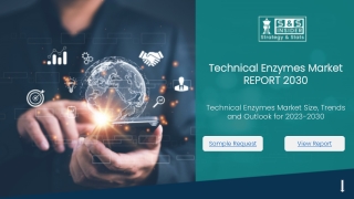 Technical Enzymes Market