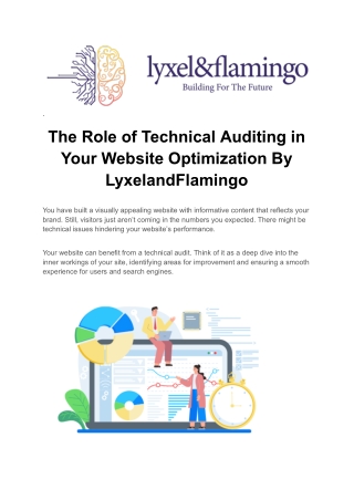 Comprehensive Technical Website Audit Services By Lyxel&Flamingo