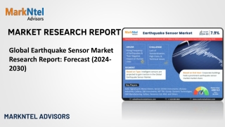 market research report