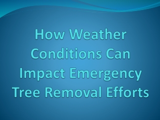 How Weather Conditions Can Impact Emergency Tree Removal Efforts