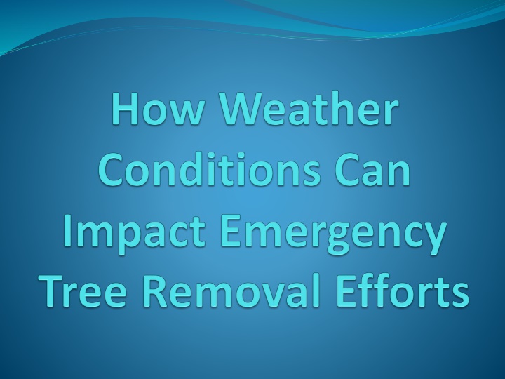 how weather conditions can impact emergency tree removal efforts