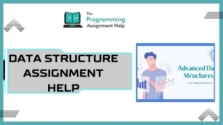 data structure assignment help