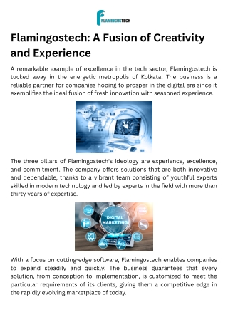 flamingostech a fusion of creativity