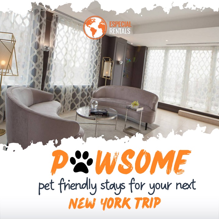 p wsome pet friendly stays for your next new york