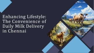 The Convenience of Daily Milk Delivery in Chennai