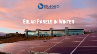 Why Consider Solar Energy in Winter?