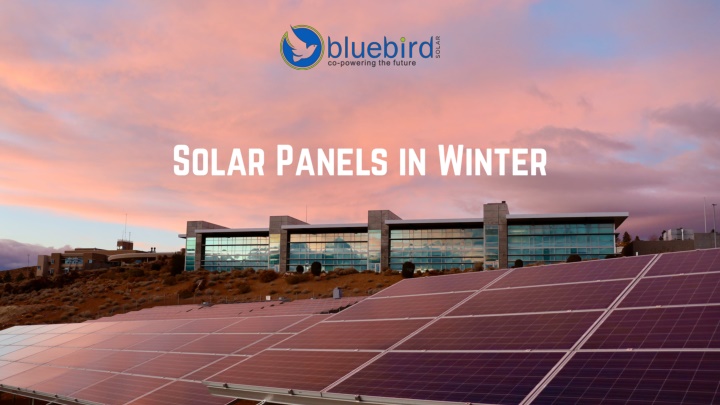 solar panels in winter