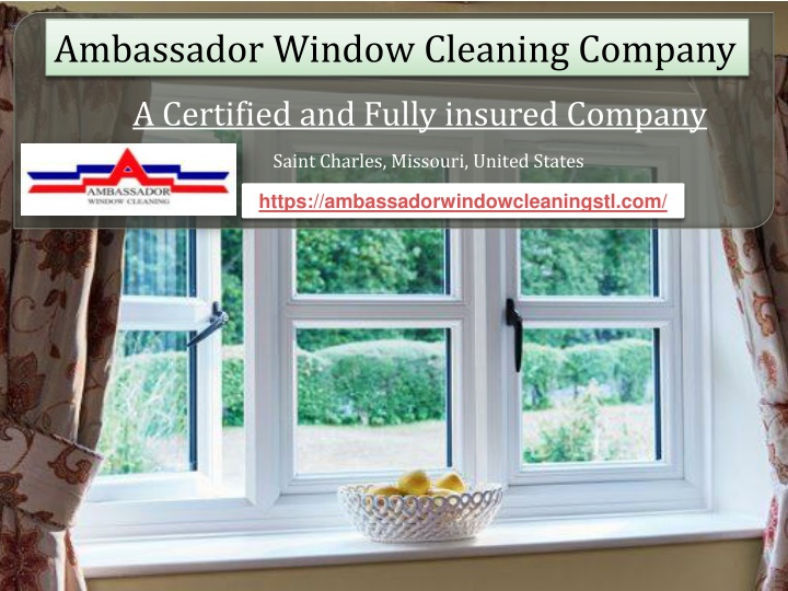 ambassador window cleaning company